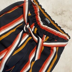 Express Multicolor Striped Pants with Tie Waist